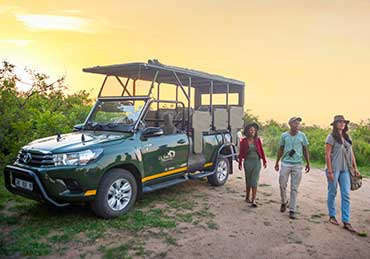 3hr Sunset Safari in Kruger National Park
