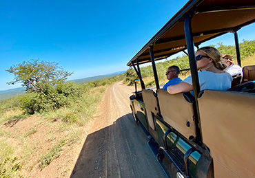 Hluhluwe-Imfolozi Game Drive