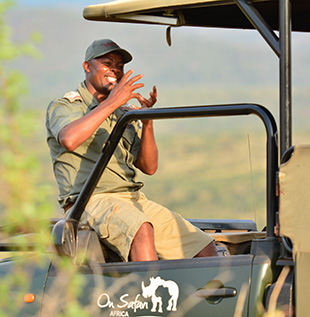 On Safari Africa