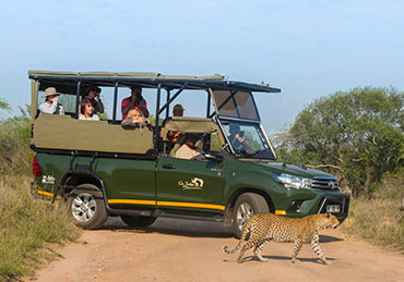 Journey Through Kruger